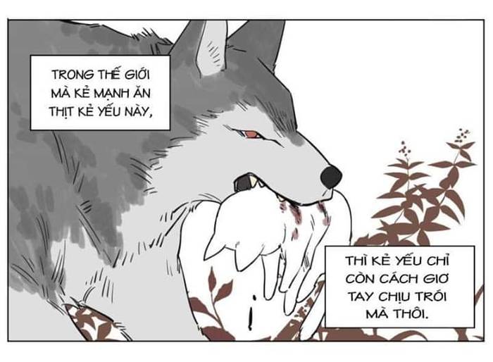 Hầu sói - Chủ mèo chap 3 - Trang 1