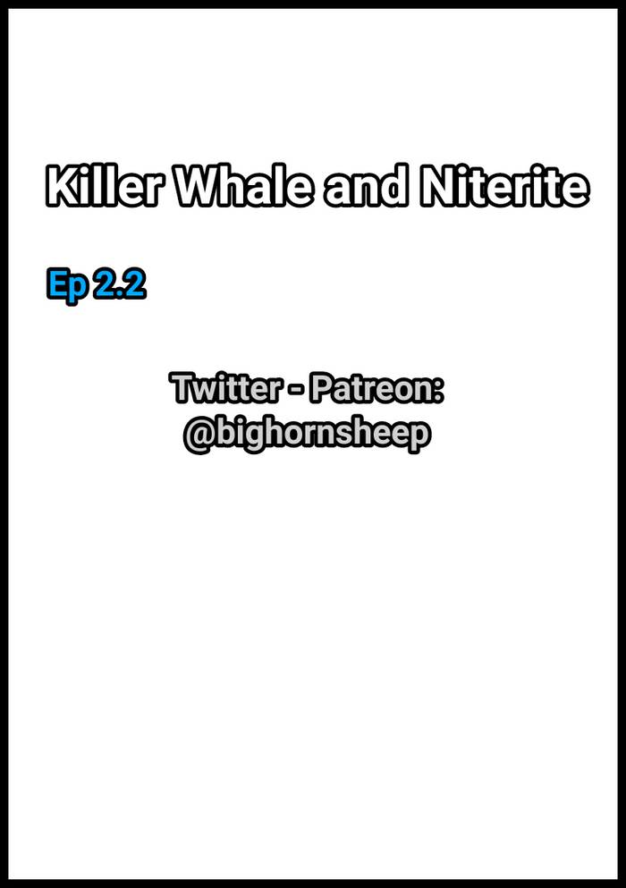 Killer Whale & Niterite Ep 2.2 - Trang 4