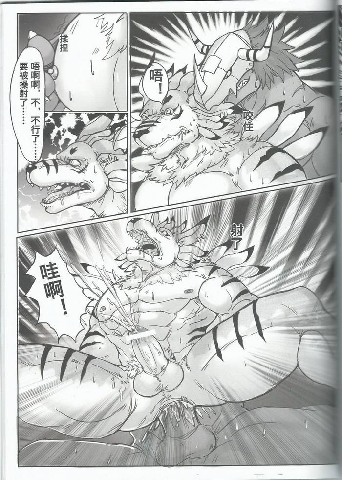 Digimon dj – The Secret of the Evolutionary  - Trang 37