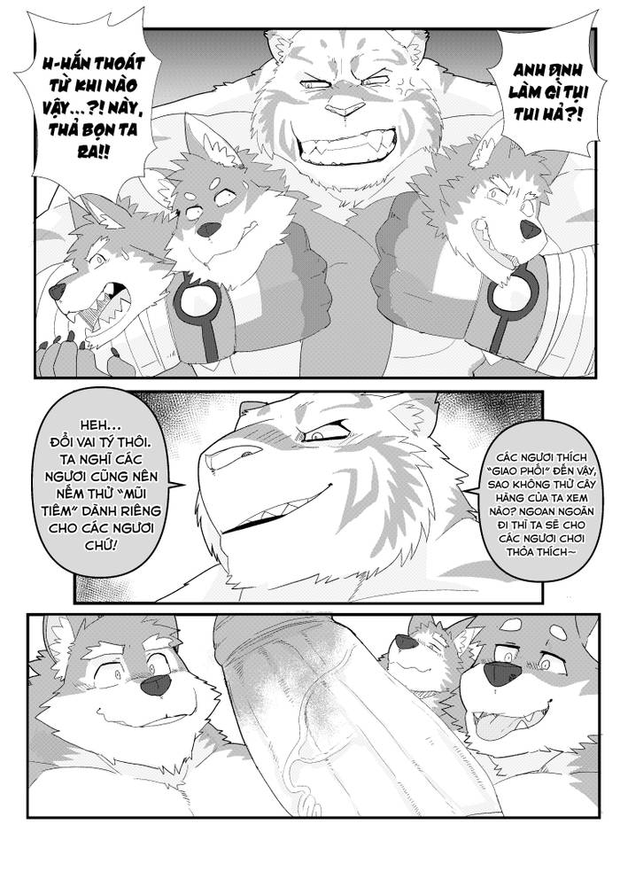 [LucusOLD] Bạn Trai Tụi Này Là Một Gã Hổ To Xác - Our Boyfriend is a Bulky Tiger [VI] - Trang 38