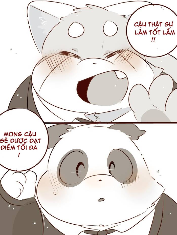 Lần đầu gặp mặt nhau giữa Mr. Reppapa và Panda Papa - Trang 8