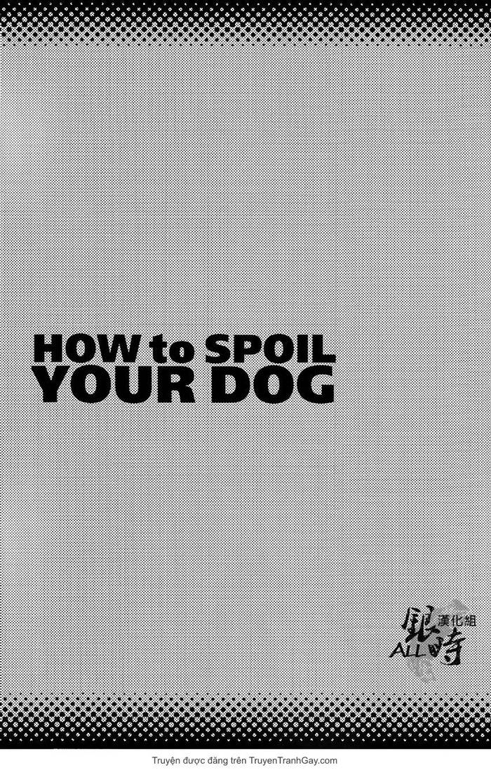 How to spoil your dog - Trang 7