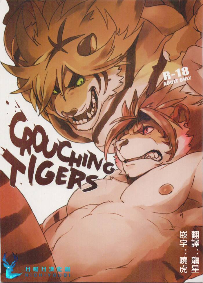 (Kamado)] CROUCHING TIGERS – Tokyo Afterschool Summoners dj - Trang 1