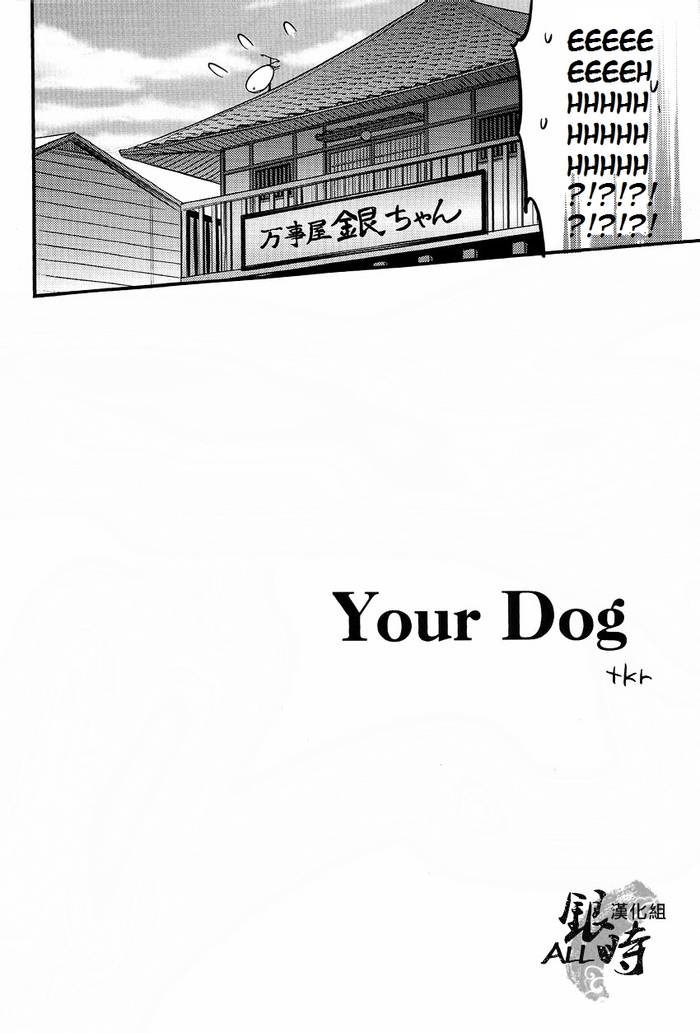 How to spoil your dog - Gintama dj - Trang 8