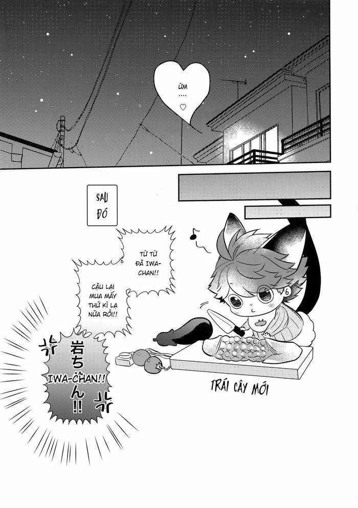 [Rototika (Kamishi Yue)] Tớ muốn trở thành bé mèo của riêng Iwa-chan! 7 - Haikyuu!! dj - Trang 36