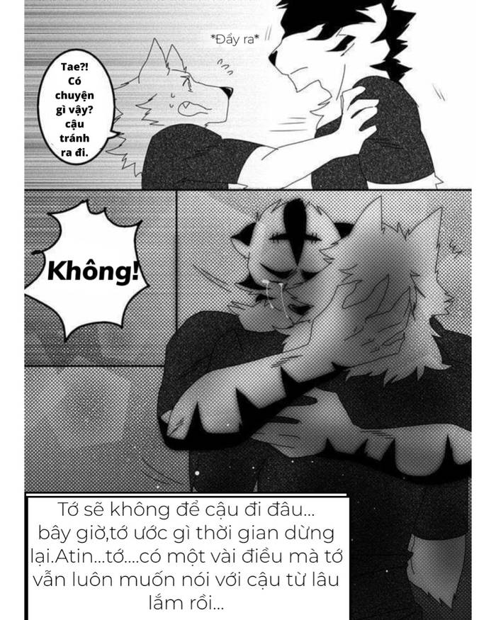 Đâu mới là tình yêu đích thực?[VN]Chapter 2 - Trang 3