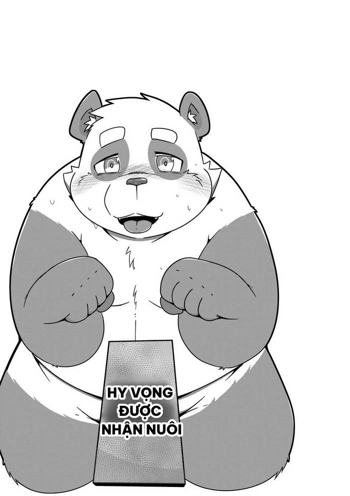 [VN] EXCUSE ME WOULD YOU LIKE SOME PANDA? - Trang 2