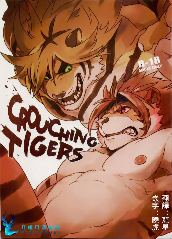 Crouching Tiger - Trang 1