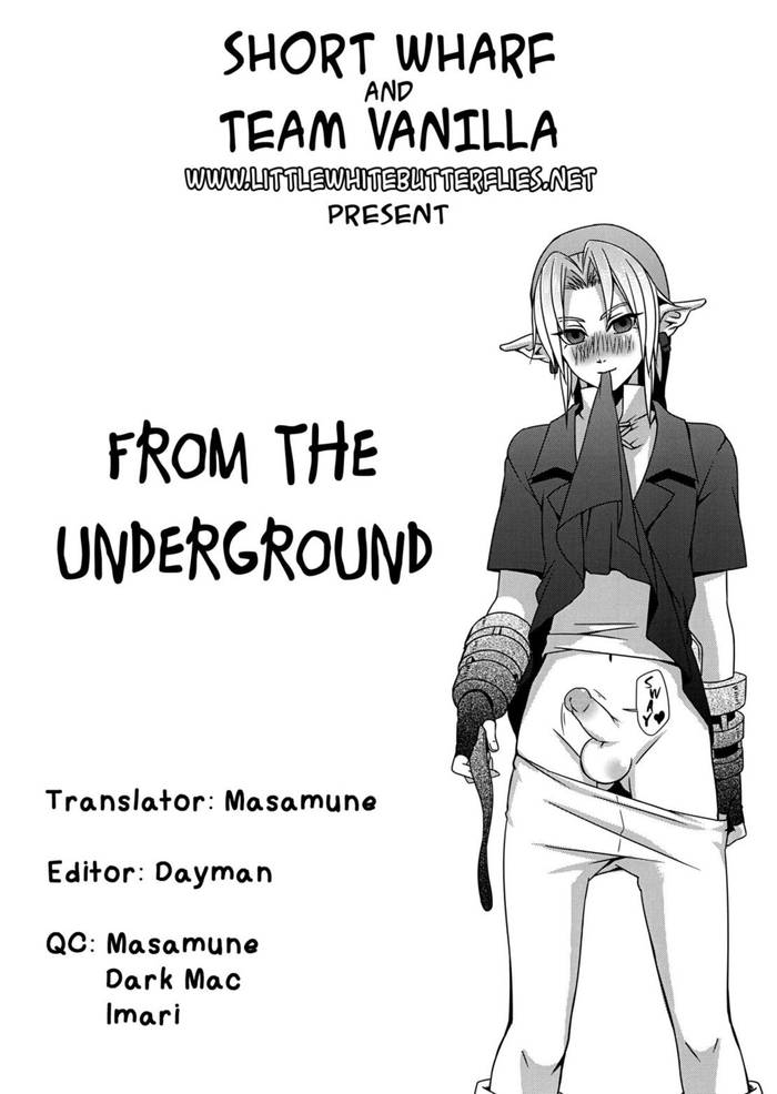 (C83) [Tricot (Stella.Ing)] From The Underground (The Legend Of Zelda) [vietsub] =SW= - Trang 21